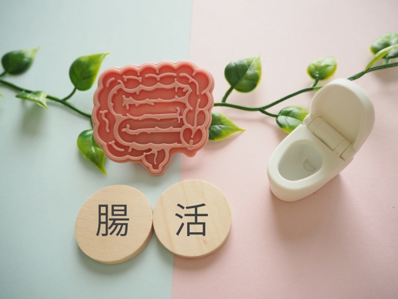 腸活　排便